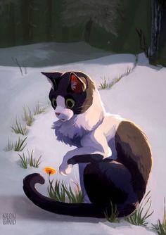 a black and white cat sitting in the snow next to a yellow dandelion