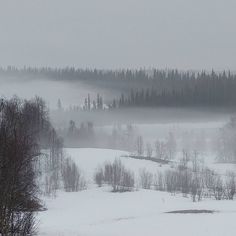 a snow covered field with trees in the distance and foggy sky above it on a cold, overcast day