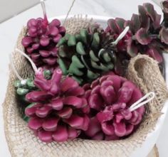 some plants are in a white bowl on a table with burlocks and twine