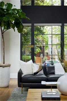 a living room filled with furniture and a potted plant