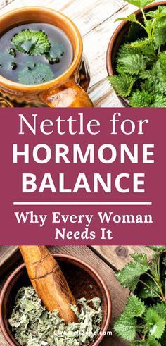 Benefits Of Nettle, Hormonal Imbalance Symptoms, Hormone Imbalance Remedies, Hormone Balancing Tea, Hormone Balancing Diet, Nettle Leaf, Hormonal Imbalance, Stinging Nettle, Herbal Recipes