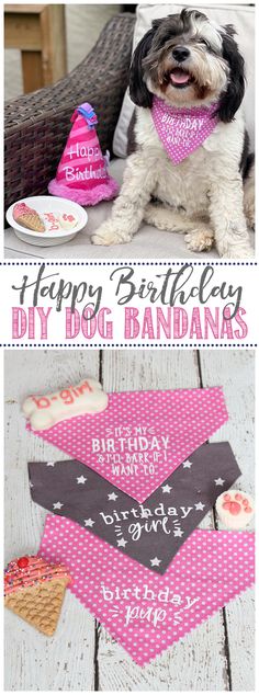 a dog wearing a birthday bandana sitting on top of a table