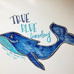 a drawing of a blue whale with the words true blue everyday on it's side