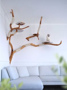 a white couch sitting next to a wall mounted bird on top of a tree branch