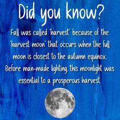 a blue background with the words did you know? and a full moon on it