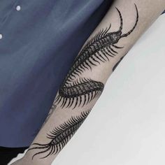 a black and white image of a fern leaf tattoo on the left arm with an insect crawling across it