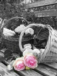 two pink roses sitting on top of a wooden bench next to baskets filled with flowers