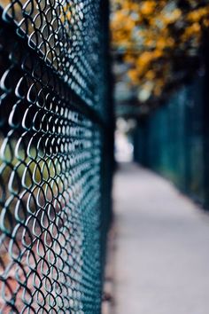 a close up view of a chain link fence with trees in the background and leaves on the ground