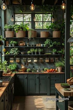 a kitchen filled with lots of potted plants and hanging lights over the stove top