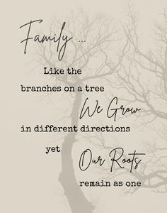 a tree with the words family like the branches on a tree we grow in different directions yet our roots remain as one