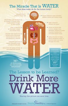 The Miracle That is WATER | Lake Pointe Chiropractic #WorldWaterDay #March22 Benefits Of Drinking Water, Drink More Water, More Water, Health Info, Health Products, Chiropractic, Detox Drinks, Health Remedies, Healthy Tips