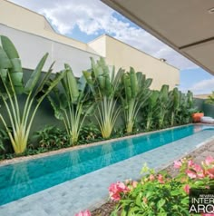 an outdoor swimming pool surrounded by plants and greenery on the side of a building