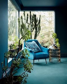 a living room filled with lots of plants next to a blue couch and table in front of a large window