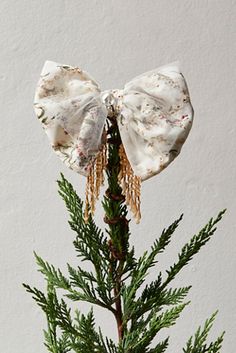 a small pine tree with two bows on it's head and needles in front of a white wall