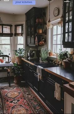 a kitchen filled with lots of plants next to a sink and stove top oven under a window