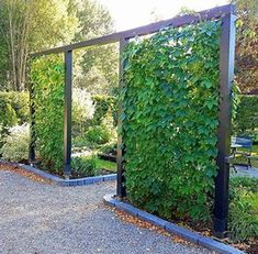 an outdoor garden area with various plants and benches in the background, along with graveled walkway