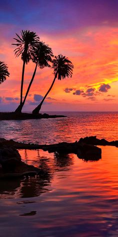 two palm trees are silhouetted against an orange and purple sunset on the ocean shore