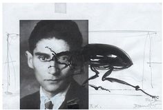 a black and white photo of a man with an insect on his face next to a drawing of a bug