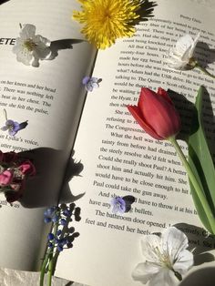 an open book with flowers and butterflies on it