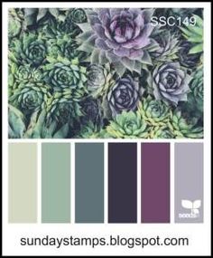 the color scheme for succulent flowers is shown in shades of purple and green