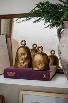 three vases sitting on top of a book next to a potted pine tree