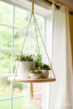 three potted plants hanging from a window sill