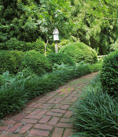 a brick path surrounded by lush green bushes and shrubbery with a birdhouse in the distance