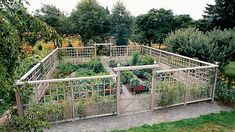 an outdoor garden with lots of plants growing in the ground and fenced off area