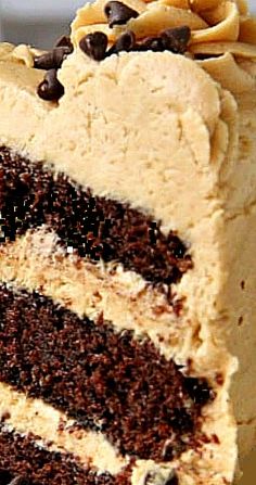 a close up of a slice of cake with chocolate chips on top and frosting