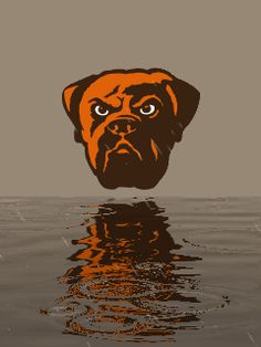 an orange and black dog is in the water with its head above the water's surface