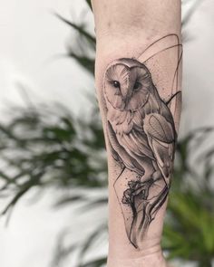 an owl tattoo on the arm