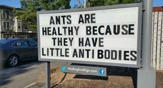 a sign that says antis are healthy because they have little anti - boies