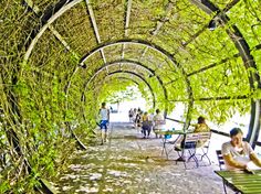 people are sitting on benches under an arch covered with vines and ivys at the park