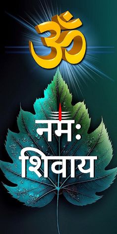 an image of a leaf with the word om shanti written on it in two languages