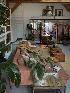 a living room filled with furniture and lots of plants