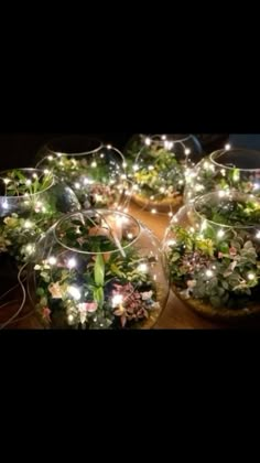 several glass vases filled with plants and lights