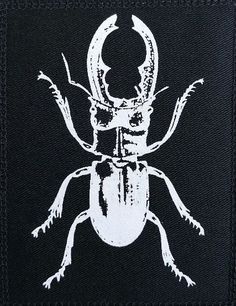 a white beetle on black background