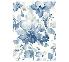 blue and white flowers on a white background