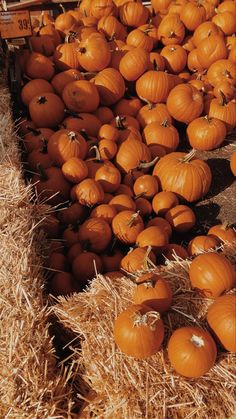 a pile of pumpkins sitting on top of hay