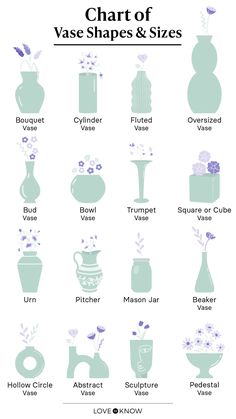 vase shapes and sizes are shown in this graphic chart for the different types of vases