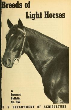 the front cover of a book with an image of a horse