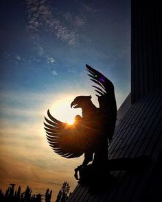 the silhouette of a bird on top of a building with the sun in the background