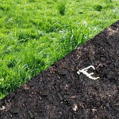 a pair of scissors laying on top of a patch of dirt in the middle of a field