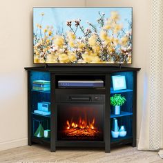 an entertainment center with a television and fire place