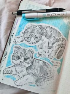 an open notebook with drawings of cats on it