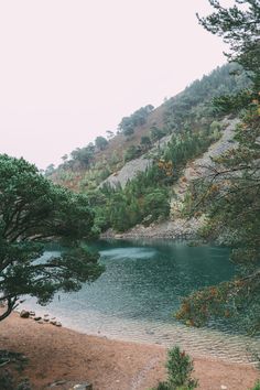 a large body of water surrounded by trees