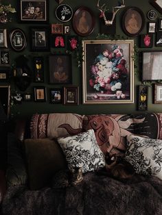 a dog laying on top of a couch in front of a bunch of framed pictures