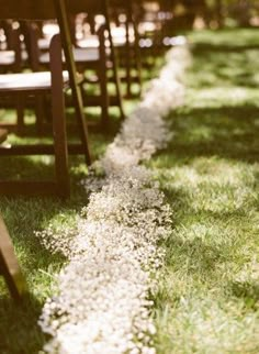 rows of wooden chairs sitting on top of a grass covered field next to each other