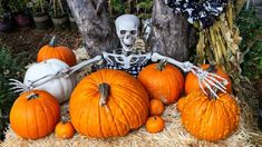 pumpkins and skeleton decorations on hay bales in front of trees with halloween decorations