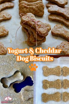 homemade dog biscuits are made with yogurt and cheddar for the dogs